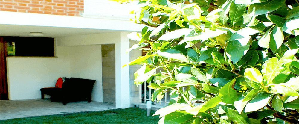 My Bnb Pisa Bagian luar foto
